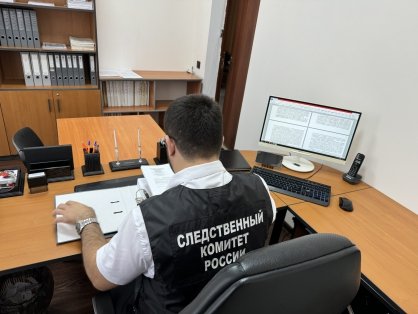 В Советском округе женщина подозревается в мошенничестве при использовании материнского капитала